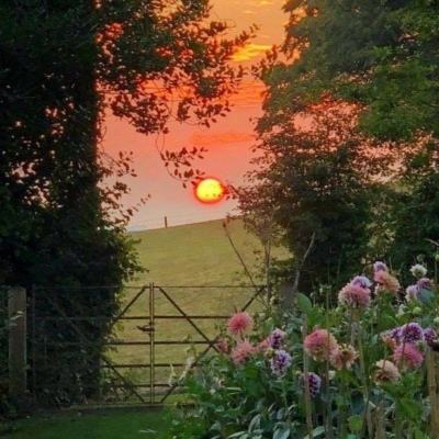 球探比分旧版大全app下载