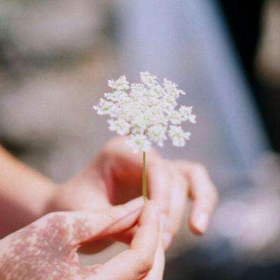 BB贝博平台登录app手机app下载