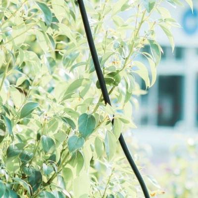 易火棋牌下载手机版