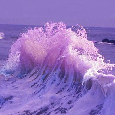 xk星空体育下载